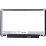 Asus E200HA-FD0079TS LCD Display 11,6" LED 30pin eDP - Lesklý – Hledejceny.cz