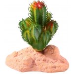 Aqua Nova Kaktus 10 cm – Zboží Dáma