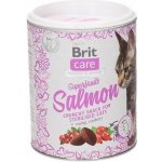 Brit Care Cat Snack Superfruits Salmon 100 g – Sleviste.cz