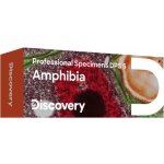 Discovery Prof Specimens DPS 5 Amphibia. – Zbozi.Blesk.cz