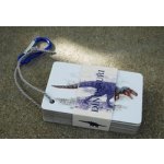 Raškovová, Lucie - Dinosauři - Kapesní atlas – Sleviste.cz