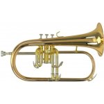 Roy Benson Bb- FH-302G Pro série – Zboží Dáma