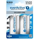 EverActive Silver Line D 5500 mAh 2ks EVHRL20-5500