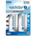 EverActive Silver Line D 5500 mAh 2ks EVHRL20-5500 – Zboží Živě