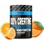 Protein Nutrition 100% Creatine Professional 500 g – Zboží Dáma