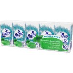 Linteo Satin papírové kapesníčky máta 3-vrstvé 10 x 10 ks – Zboží Dáma