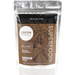 Health Link Bio Kakaová hmota Raw 250 g – Zboží Dáma