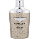 Parfém Bentley Infinite Rush toaletní voda pánská 100 ml