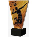 Designová skleněná trofej Volejbal Výška: 22,5 cm Průměr: 1 cm – Hledejceny.cz