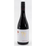 Terra Tangra TT Cabernet Sauvignon čevené 2019 14% 0,75 l (holá láhev) – Hledejceny.cz