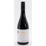 Terra Tangra TT Cabernet Sauvignon čevené 2019 14% 0,75 l (holá láhev) – Zbozi.Blesk.cz