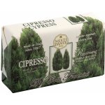 Nesti Dante Dei Colli Fiorentini mýdlo Cypřiš 250 g – Zboží Dáma Nesti Dante Dei Colli Fiorentini mýdlo Cypřiš 250 g – Zboží Dáma