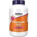 Now Foods Pantothenic Acid 500 mg 250 kapslí – Hledejceny.cz