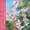 Kalendář Kew Gardens: Exotic Plants by Marianne North Mini Wall Art 2024