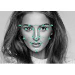 TimeMoto TM-828SC – Hledejceny.cz