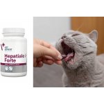 VetExpert Hepatiale Forte Small breed & cats 40 kapslí – Zboží Mobilmania