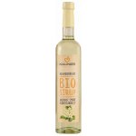 Hollinger Sirup z květu černého bezu 0,5 l – Hledejceny.cz