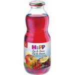 HiPP BIO Nápoj s ovocnou šťávou a šípkovým čajem 0,5 l – Sleviste.cz