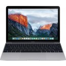 Apple MacBook MLH72CZ/A