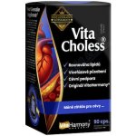 VitaHarmony VitaCholess 90 kapslí – Hledejceny.cz