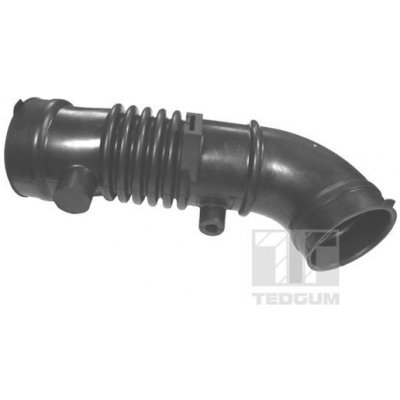 Sací hadice, vzduchový filtr TEDGUM 00392517 – Hledejceny.cz