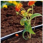 GARDENA Mds-koncový kapač 2 l (25 ks) 1340-29 900908001 – Hledejceny.cz