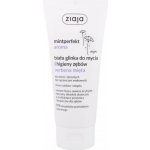 Ziaja Mintperfect Aroma White Clay Verbena & Mint 100 ml – Hledejceny.cz