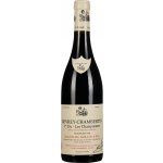 Jean-Michel Guillon а Fils Gevrey Chambertin Premier Cru Les Champonnets 2023 Červené 13,5% 0,75 l (holá láhev) – Hledejceny.cz