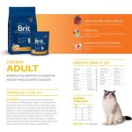 Brit cat adult Premium kuře 0,8 kg – Zboží Mobilmania