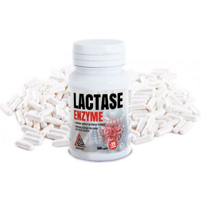 Valknut Lactase Enzyme 100 + 20 kapslí – Hledejceny.cz