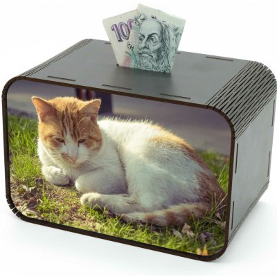 Pokladnička - Pro kočičku - s fotkou – Sleviste.cz