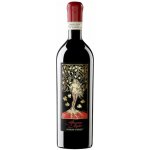 Domini Veneti Amarone della Valpolicella Classico Mater 2017 17% 0,75 l (holá láhev) – Hledejceny.cz