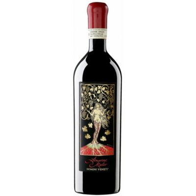Domini Veneti Amarone della Valpolicella Classico Mater 2017 17% 0,75 l (holá láhev) – Hledejceny.cz