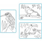 Radost v písku Základní sada PTÁCI Barevné pískování obrázků A5 – Zboží Dáma