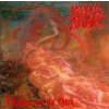 Morbid Angel - Blessed Are The Sick LP