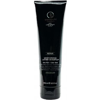 Paul Mitchell Awapuhi Wild Ginge Moisturizing Lather Shampoo 250 ml