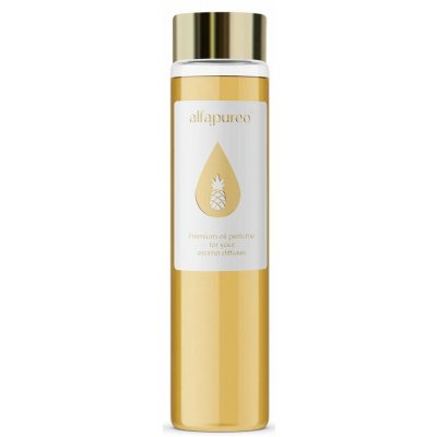 AlfaPuero aroma olej JUICY FRUIT 100 ml – Hledejceny.cz