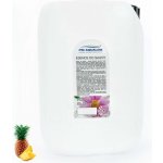 PM Aqualog saunová esence ananas 803-010/S 10 l – Hledejceny.cz
