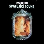 Spalující touha 4K Ultra HD BD Steelbook – Sleviste.cz