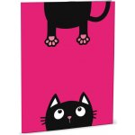 Helma 365 Desky na abecedu Crazy Kittens – Zboží Mobilmania