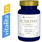 Pharma Activ Hlíva Max Echinacea + Rakytník 60 tablet – Hledejceny.cz