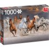 Puzzle JUMBO Divocí koně 1000 dílků