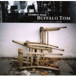 Buffalo Tom - Asides From Buffalo Tom 88-99 CD – Hledejceny.cz