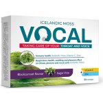 Rpm Pharma Vocal Pastilky bez cukru s příchutí Černý ryb.24ks – Sleviste.cz