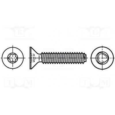 BOSSARD 3060663 Vrut; 3x16; Hlava: kuželová; Torx®; TX10; ocel; zinek; Øhlavy: 5,6mm – Zboží Mobilmania