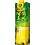 Rauch Happy Day ananas 100% 1l – Zboží Mobilmania