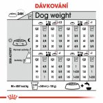 Royal Canin Mini Digestive Care 1 kg – Hledejceny.cz