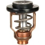 Yamaha - Termostat pro F(L)115B 6EK-12411-00-00