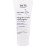 Ziaja Mintperfect Aroma White Clay Verbena & Mint 100 ml – Hledejceny.cz