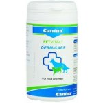 Canina PETVITAL Derm Caps 55 g 100 cps – Hledejceny.cz